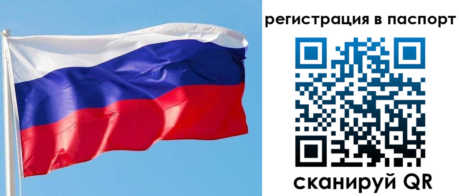 прописка законно в Хвалынске